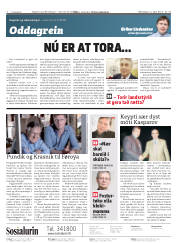 Síða 2