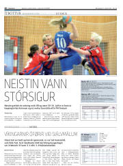 Síða 20