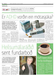 Síða 8