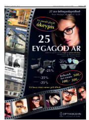 Síða 11
