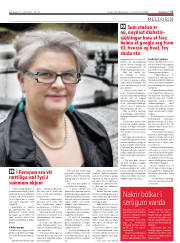 Síða 17