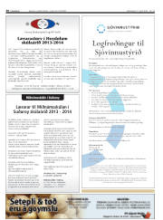 Síða 30