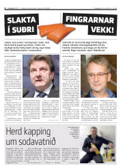 Síða 4