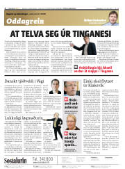 Síða 2