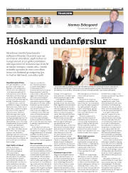 Síða 15