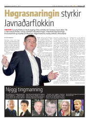 Síða 17