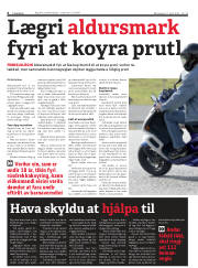Síða 6