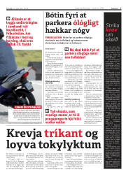 Síða 7