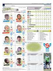 Síða 19