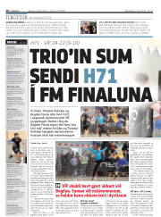 Síða 20
