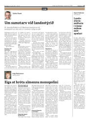 Síða 27