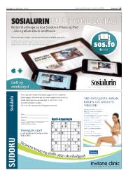Síða 29