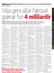 Síða 14