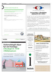 Síða 22