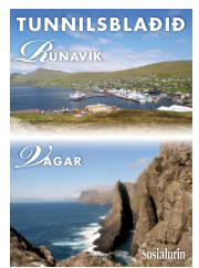 Síða 29