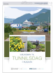 Síða 41