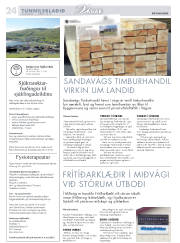 Síða 52