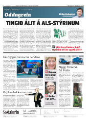 Síða 2