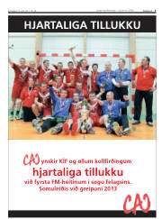Síða 5