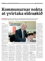 Síða 8