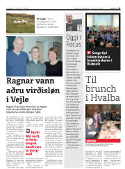 Síða 25