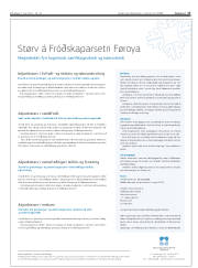 Síða 17