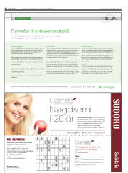 Síða 32