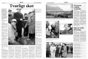 Síða 4