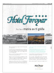 Síða 25