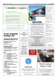 Síða 31