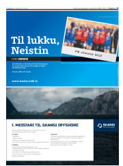 Síða 17
