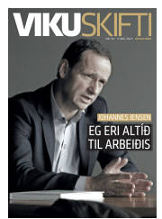 Síða 33