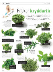 Síða 38