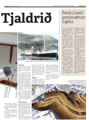Síða 11