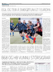 Síða 20
