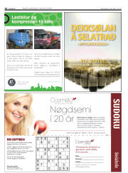 Síða 28