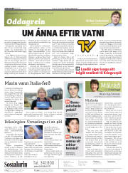 Síða 2