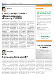 Síða 12