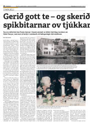 Síða 20