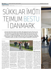 Síða 30
