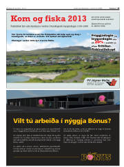Síða 13