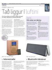 Síða 22