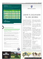 Síða 17