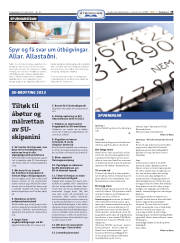 Síða 19