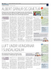 Síða 20