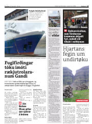 Síða 25