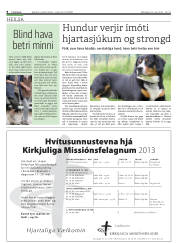 Síða 8