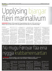 Síða 12