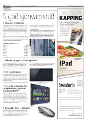 Síða 26