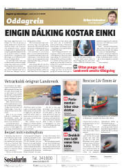 Síða 2